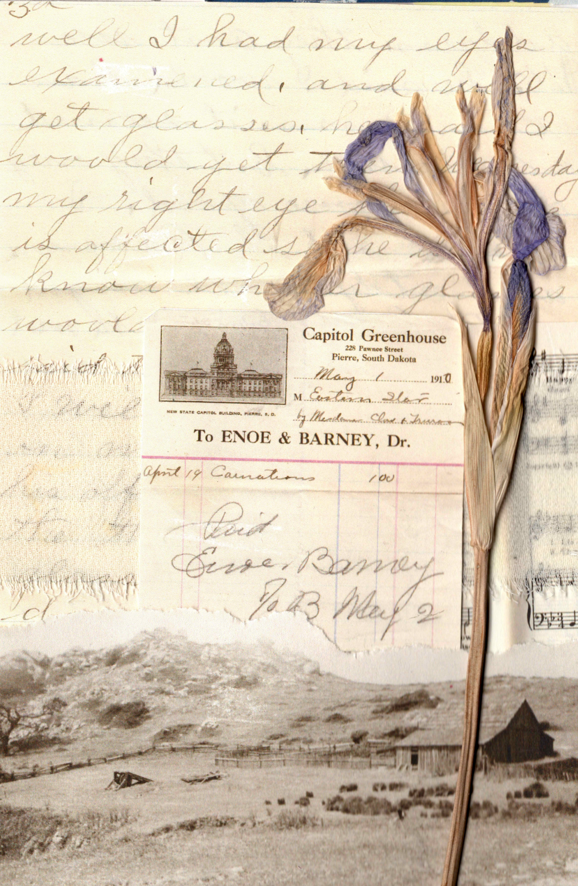 Capitol Iris