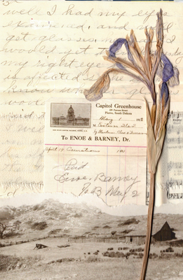 Capitol Iris