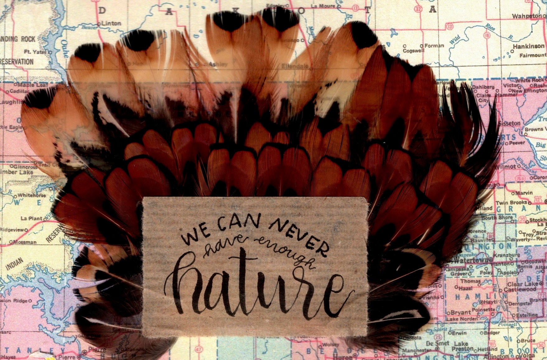 Feathered arrangement with a sign reading 'We can never have enough nature' on a map background